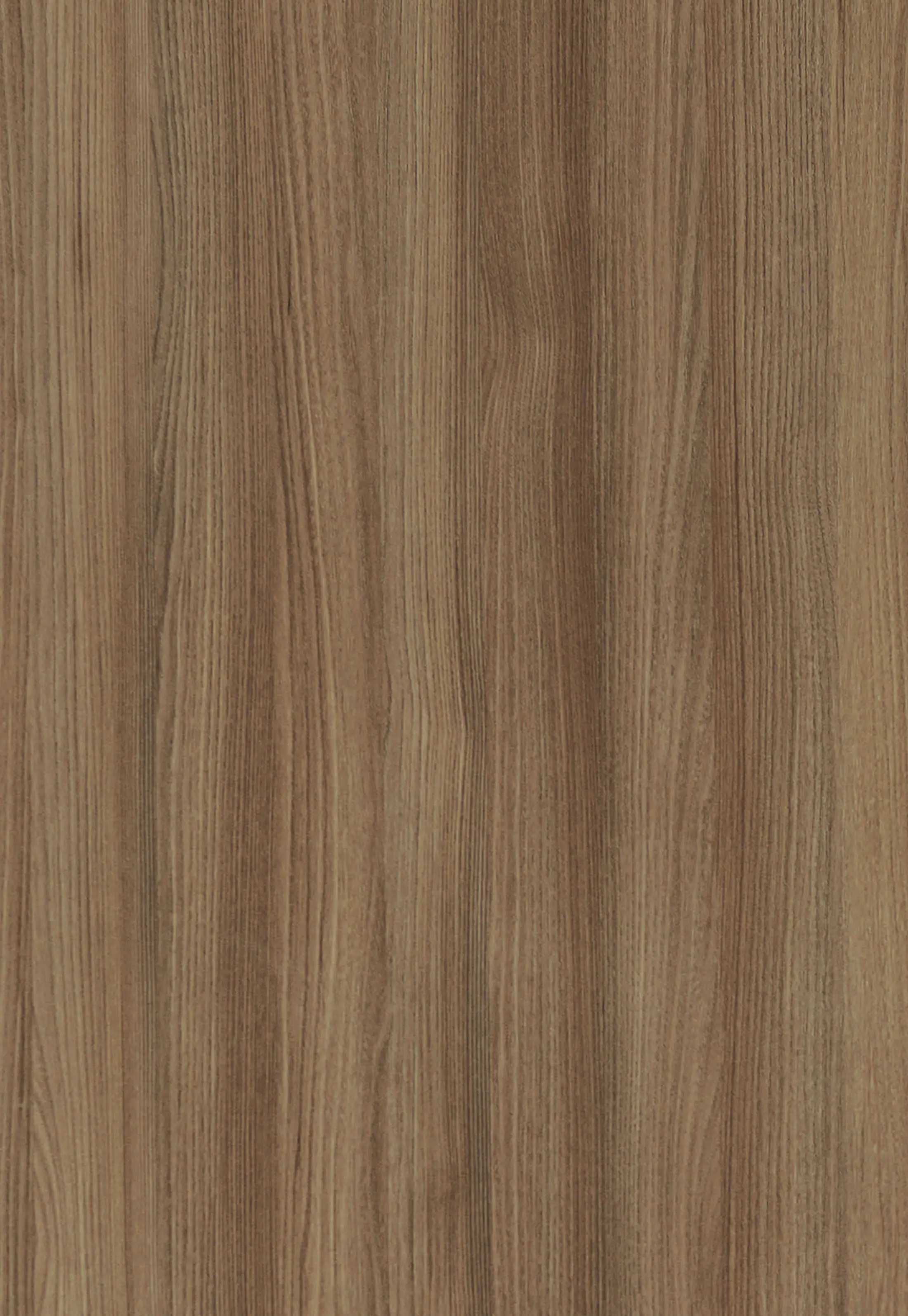 Çamsan Ordu Cappucino MDFLAM