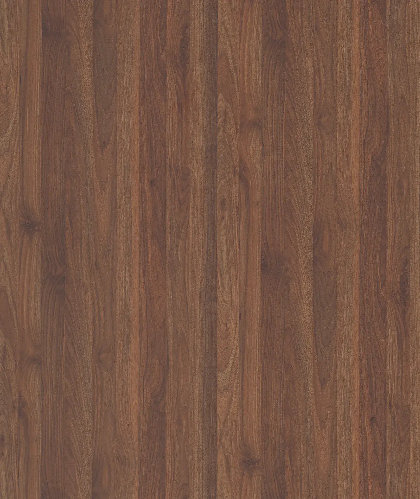 Çamsan Ordu Latin Ceviz MDFLAM